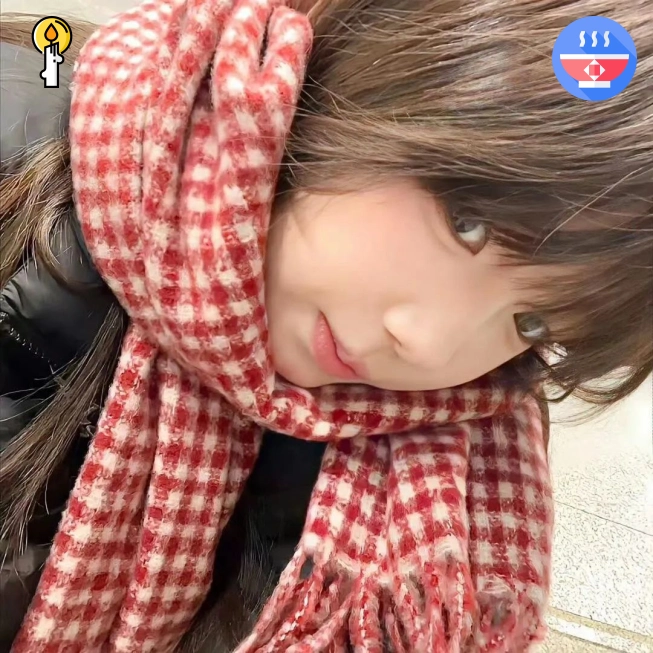 苏宁女士